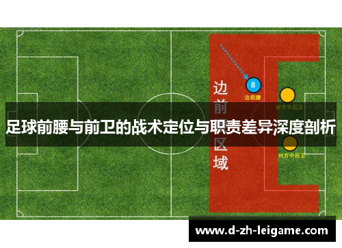足球前腰与前卫的战术定位与职责差异深度剖析