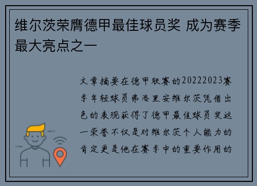 维尔茨荣膺德甲最佳球员奖 成为赛季最大亮点之一