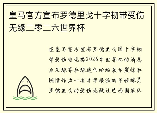 皇马官方宣布罗德里戈十字韧带受伤无缘二零二六世界杯